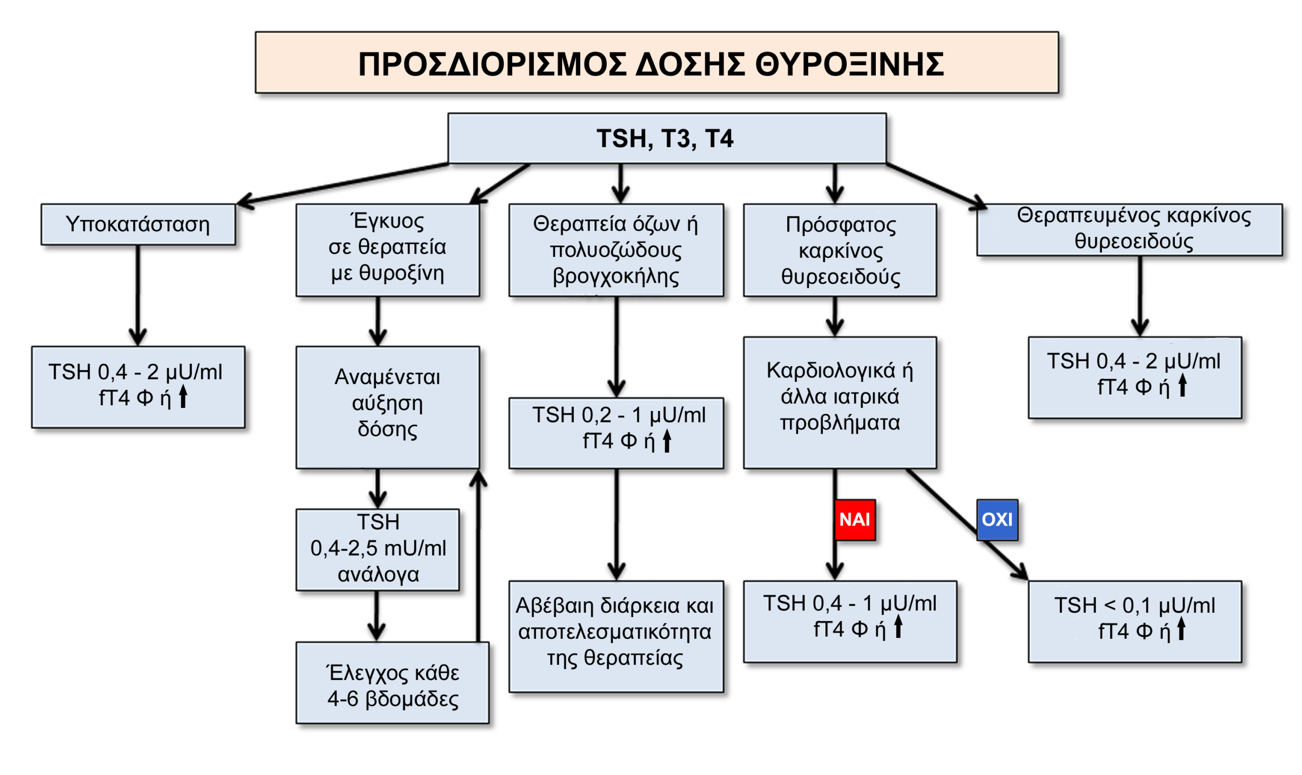 What_is_the_Correct_Thyroxine_Dosage